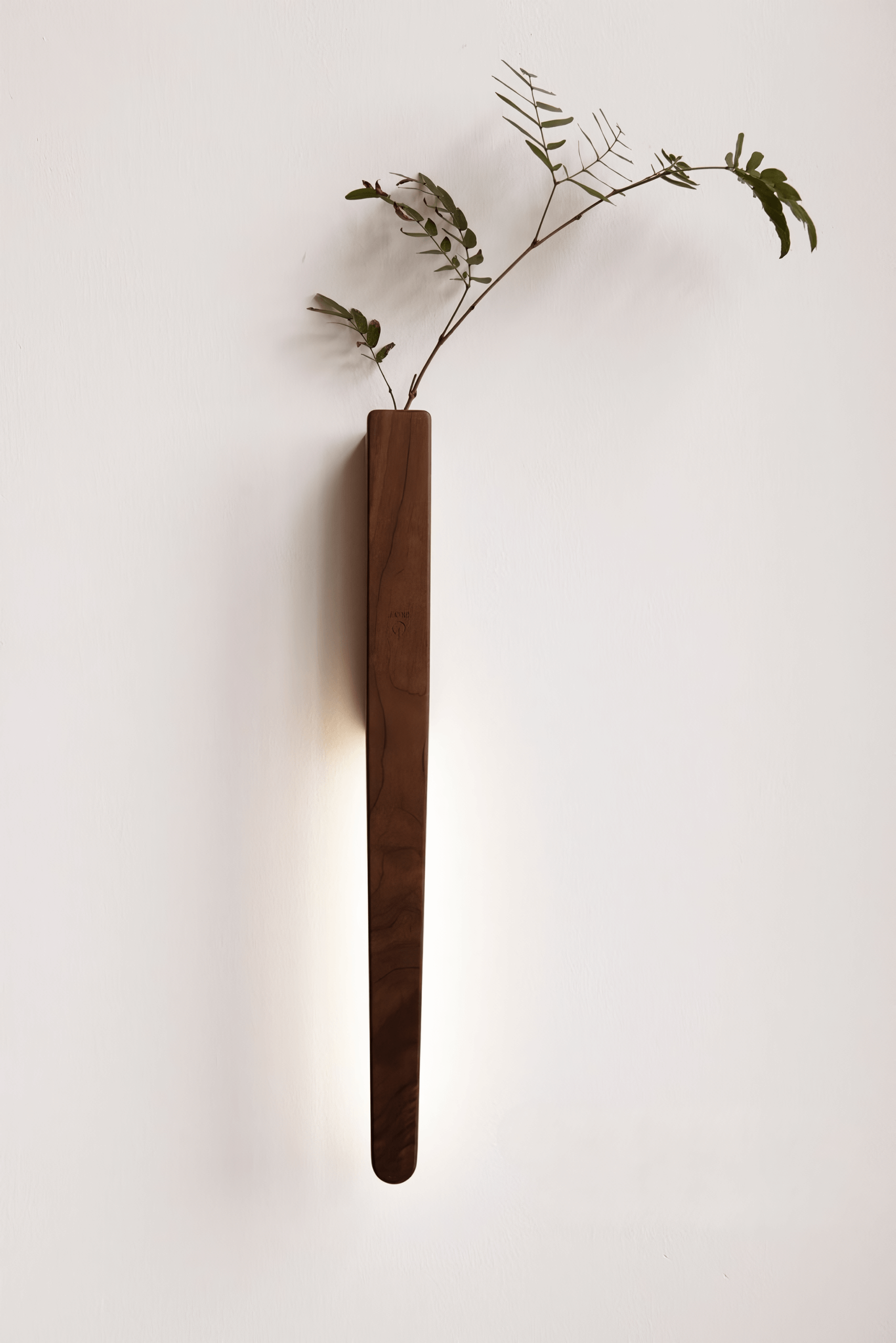 wooden lamp or wall lamp with large size which arranging plants