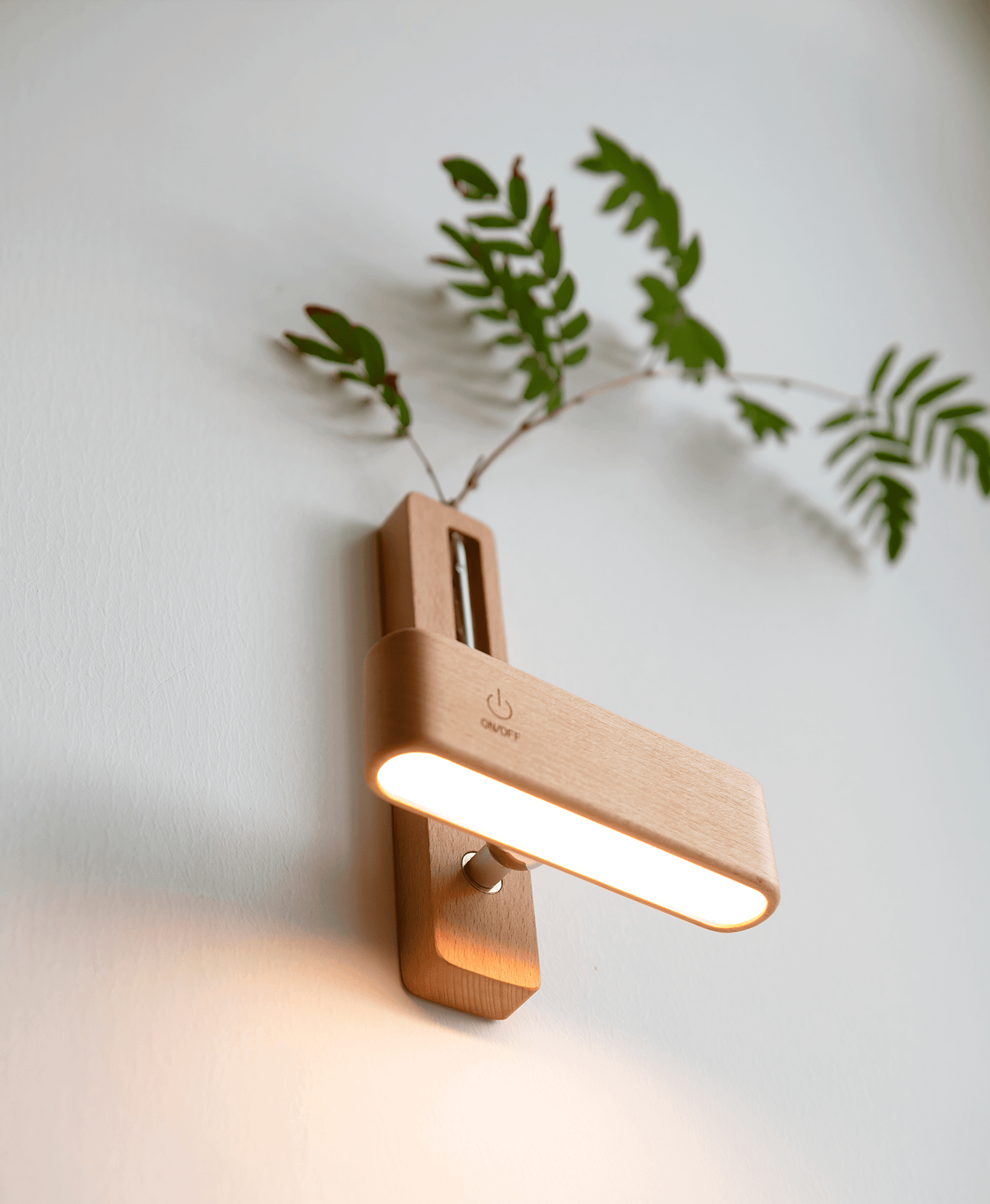 wooden lamp or wall lamp with mini size which arranging plants